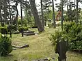 Old cemetery