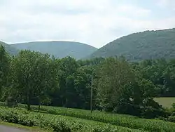 A Nippenose Township vista