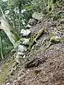 Remnants of walls of the inner bailey