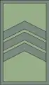 Помлад водникPomlad vodnik(North Macedonian Ground Forces)