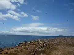 North Seymour Island in the Galápagos, Daphne Island is in the distance.