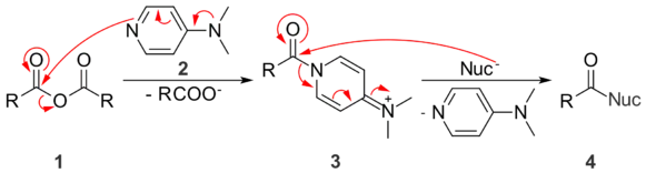 DMAP activates anhydrides towards nucleophilic substitution by creating a better leaving group.
