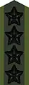 Collar patch m/58 (black m/02) on field uniform M90(2002–present)