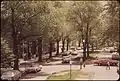 Once Neptune Road led to Wood Island Park and the sea. Now it is bounded by a fence and the Logan Airport runway area. (May 1973)