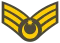 Baş gizir(Azerbaijani Land Forces)