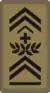OR-9b - Adjudant-major