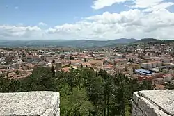 Panoramic