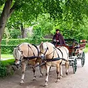 Old horse wagon