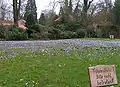 The Schlossgarten in February.