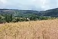 Opawa latem