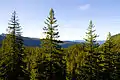 Scenic Vista
