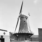 1982 - May