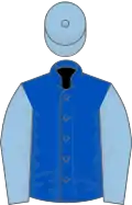 Royal blue, light blue sleeves and cap