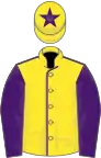 Yellow, purple seams, sleeves and star on cap
