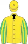 Yellow, emerald green and yellow striped sleeves, yellow cap