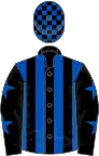 Black and royal blue stripes, black sleeves, royal blue stars, check cap