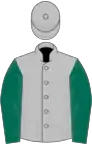 Silver, dark green sleeves