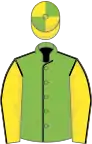 Light green body with black seams, yellow arms with black seams, yellow cap with light green quartered