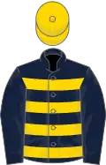 Dark blue, gold hoops, dark blue sleeves, gold cap