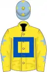 Yellow, royal blue hollow box, yellow sleeves, light blue stars, light blue cap, yellow stars