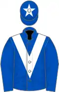 Royal blue, white chevron, royal blue cap, white star