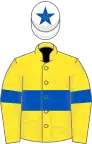 Yellow, royal blue hoop and armlet, white cap, royal blue star