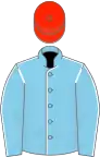 Sky blue, white seams, scarlet cap