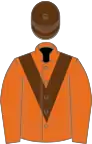 Orange, brown chevron and cap