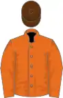 Orange, orange sleeves, brown cap
