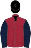 Maroon, dark blue sleeves, black cap