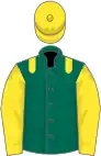Dark green, yellow epaulettes, yellow sleeves, yellow cap
