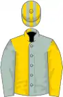Ice blue and gold (halved), sleeves reversed, striped cap