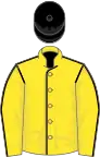 Yellow, black seams, black cap