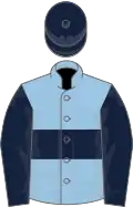Light blue, dark blue hoop, sleeves and cap
