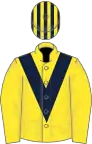 Yellow, dark blue chevron, striped cap