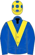 Royal blue, yellow chevron, yellow cap, royal blue spots