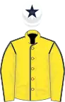 Yellow, dark blue seams, white cap, dark blue star