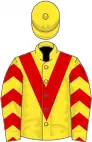 Yellow, red chevron, chevrons on sleeves