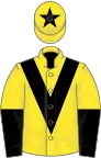 Yellow, Black chevron, Yellow and Black halved sleeves, Yellow cap, Black star