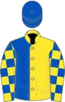 Yellow and royal blue (halved), checked sleeves, royal blue cap