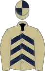 Beige, dark blue chevrons, beige sleeves, quartered cap