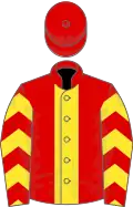 Red, yellow stripe, chevrons on sleeves