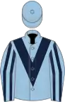Light blue, dark blue chevron, striped sleeves