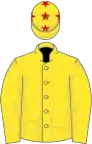 Red, yellow stars, yellow, sleeves, red stars, yellow cap, red stars