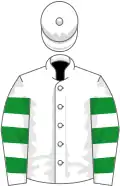 White, white sleeves, emerald green hoops