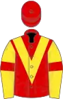 Red, yellow chevron, yellow sleeves, red armlets