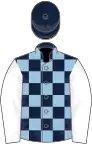 Dark blue and light blue, check, white sleeves, dark blue cap
