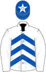 White, royal blue chevrons, white sleeves, royal blue cap, white star.