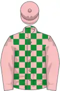 Pink and green check, pink sleeves and cap