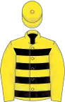Yellow, black hoops on body